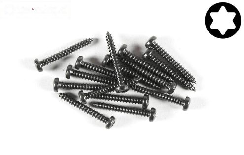 FG6914/22 Torx bolkop parker Ø2,9-L22 mm, 15 St.