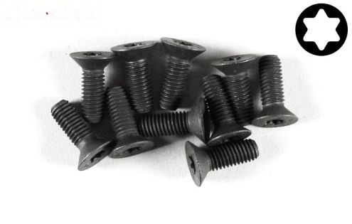 FG6922/14 Torx verzonken kop M5-L14 mm, 10 St.