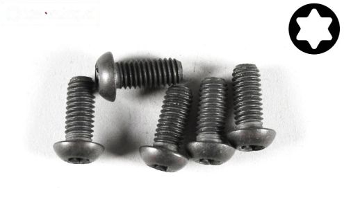 FG6927/14 Torx bolkop M6-L14 mm, 5 St.