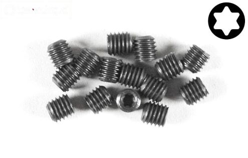 FG6930/06 Torx koploos M5-L6 mm, 15 St.