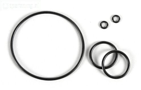 FG8600/11 Differentieel O-ring, Viscose, Set