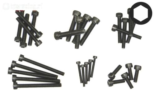 LOS255001 LOSI Inbus normale kop Sorti, Set