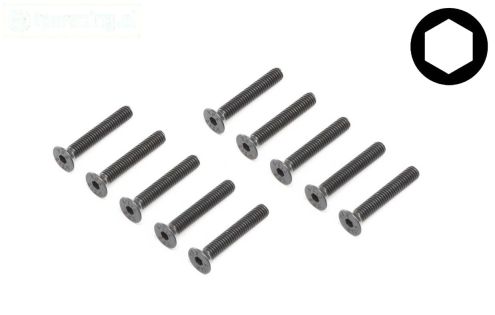 LOS255018 Inbus verzonken kop M4-L25 mm, 10 st.