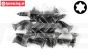FG6912/13 Torx parker verz. kop Ø4,2-L13 mm, 20 St.