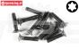 FG6920/18 Torx verzonken kop M4-L18 mm, 10 St.