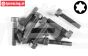FG6932/16 Torx normale kop M4-L16 mm, 10 St.