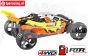 FG62040R Baja Buggy WB535 Sports-Line 4WD RTR
