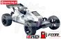 FG62050R Baja Buggy WB535 Sports-Line 4WD RTR