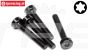 HPI15439 Torx normale kop M5-L30 mm, 4 St.
