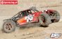 LOS05010 LOSI Desert Buggy XL K&N, 4WD RTR