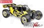 LOS05008T2 LOSI DBXL 2.0 Buggy RTR MAGNAFLOW