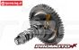 LOS06002 Promoto-MX RC Motor Groen Pro Circuit RTR