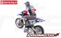 LOS06000T2 Promoto-MX RC Motor Blauw Club MX ARTR