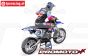 LOS06000T2 Promoto-MX RC Motor Blauw Club MX ARTR