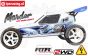 FG6000ER Marder Off-Road Buggy E Brushless 2WD RTR