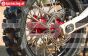 PRO283703 Pro-Spec Alu-wiel as achter Rood, 1 st.