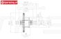 LOS001 Antz Racing Torsen Differentieel LOSI 5T, set