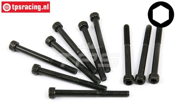 BWS56013 Inbus normale kop M5-L55 mm, 10 st.