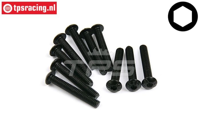 BWS56016 Inbus bolkop M3-L20 mm, 10 st.