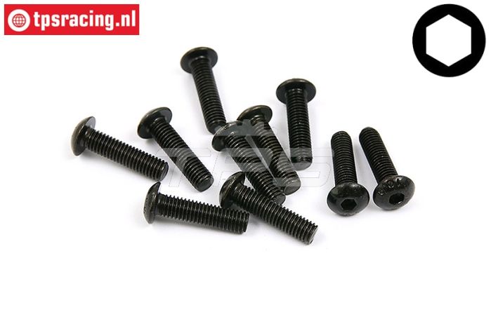 BWS56028 Inbus bolkop M5-L20 mm, 10 st.