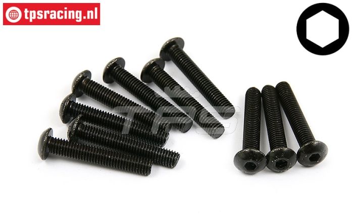 BWS56029 Inbus bolkop M5-L30 mm, 10 st.