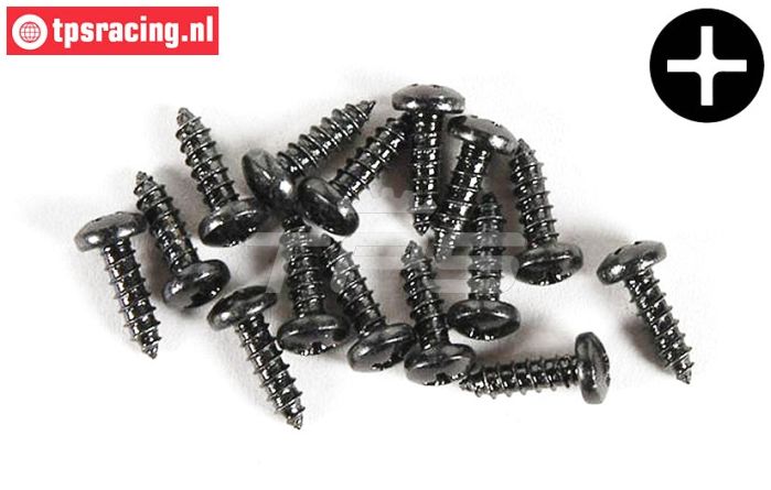 FG6714/09 Kruis bolkop parker Ø2,9-L9,5 mm, 15 St.