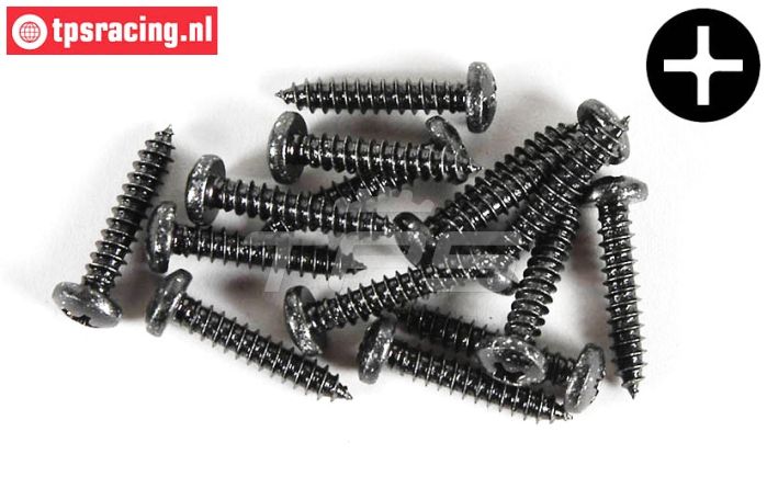 FG6716/25 Kruis bolkop parker Ø4,2-L25 mm, 15 St.