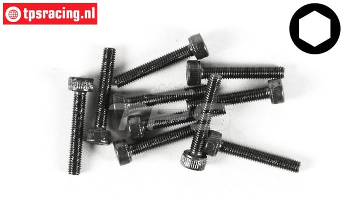 FG6724/25 Inbus normale kop M3-L25 mm, 10 St.