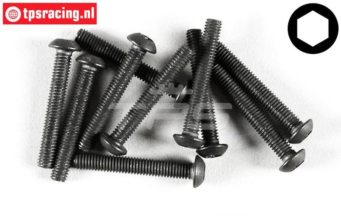 FG6737/20 Inbus bolkop M3-L20 mm, 10 St.