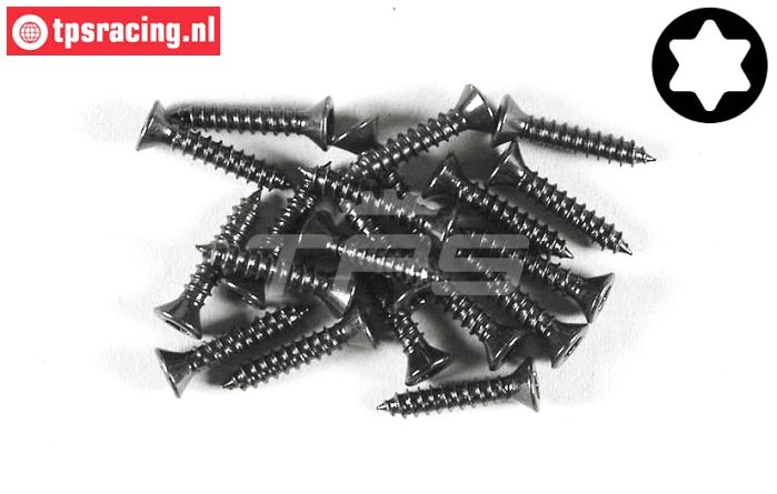 FG6910/16 Torx parker verz. kop Ø2,9-L16 mm, 20 St.