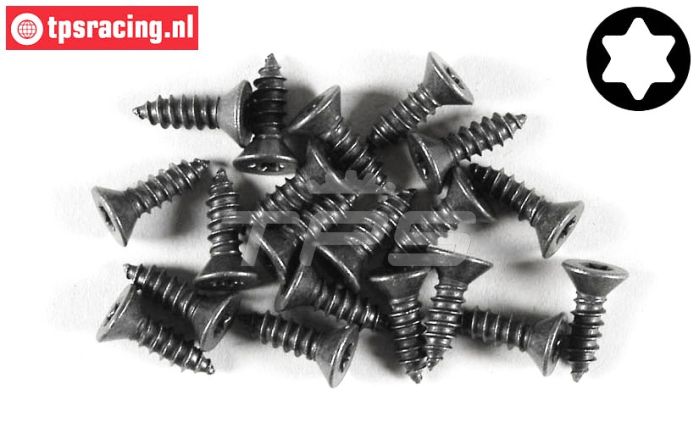 FG6912/13 Torx parker verz. kop Ø4,2-L13 mm, 20 St.
