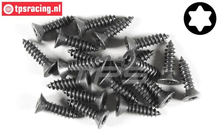 FG6912/16 Torx parker verz. kop Ø4,2-L16 mm, 20 St.