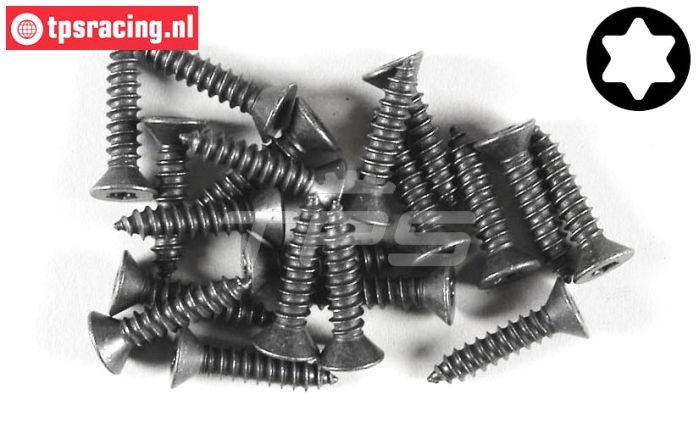 FG6912/19 Torx parker verz. kop Ø4,2-L19 mm, 20 St.