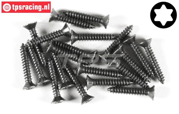 FG6912/22 Torx parker verz. kop Ø4,2-L22 mm, 20 St.