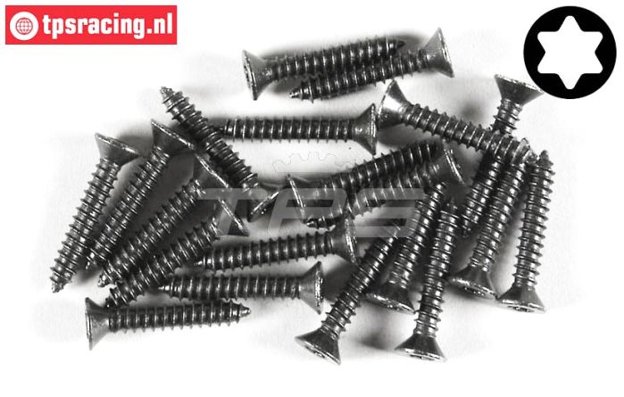 FG6912/25 Torx parker verz. kop Ø4,2-L25 mm, 20 St.