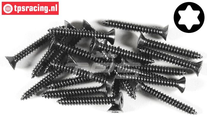 FG6912/32 Torx parker verz. kop Ø4,2-L32 mm, 20 St.