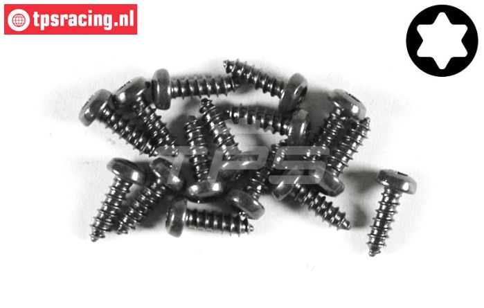 FG6914/09 Torx bolkop parker Ø2,9-L9 mm, 15 St.