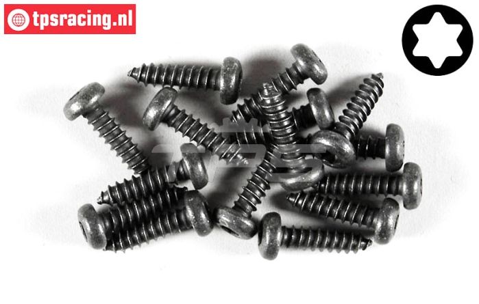 FG6916/16 Torx bolkop parker Ø4,2-L16 mm, 15 St.