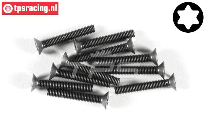 FG6918/20 Torx verzonken kop M3-L20 mm, 10 St.