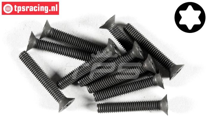 FG6920/25 Torx verzonken kop M4-L25 mm, 10 St.