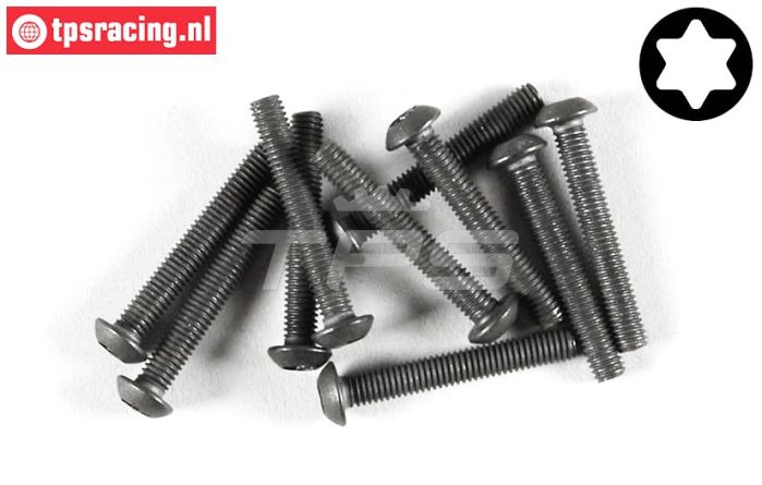 FG6924/25 Torx bolkop M3-L25 mm, 10 St.