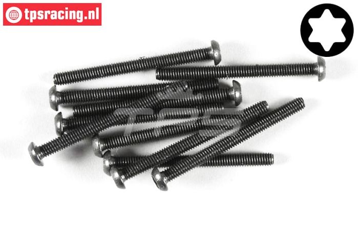 FG6925/45 Torx bolkop M4-L45 mm, 10 St.
