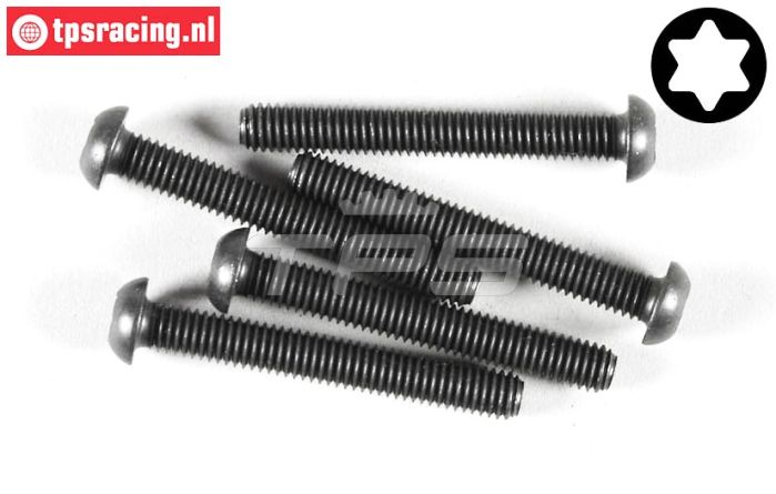 FG6927/45 Torx bolkop M6-L45 mm, 5 St.