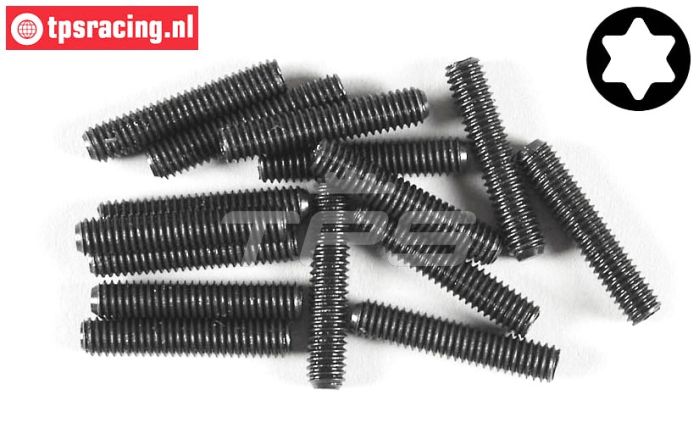 FG6929/20 Torx koploos M4-L20 mm, 15 St.