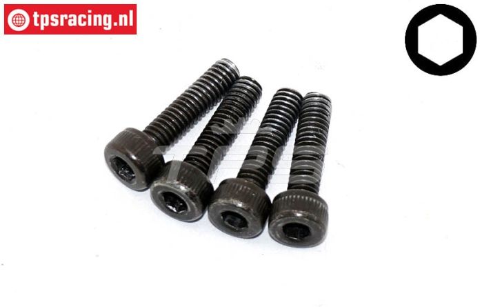 FG9440/13 Magura rem cilinder schroef M2,5-L10 mm, 4 St.