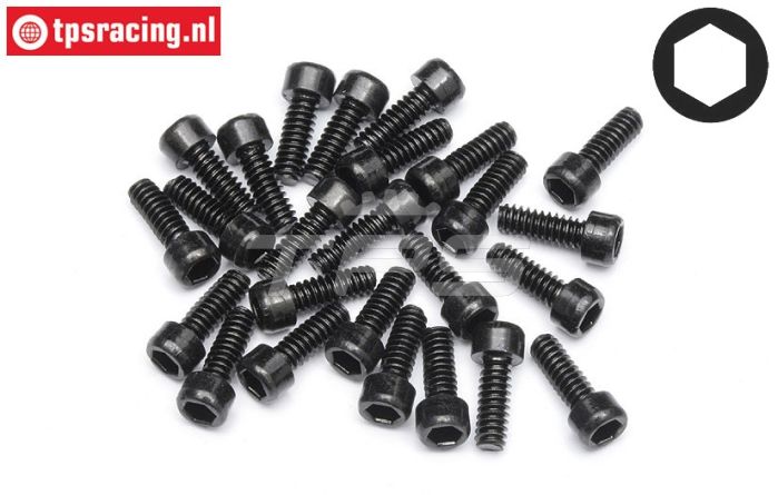 HPIZ340 Parker normale kop Ø3-L6 mm, 25 St.