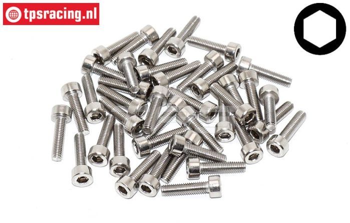 TPSZ340/12 RVS Inbus normale kop M3-L12 mm, 40 St.