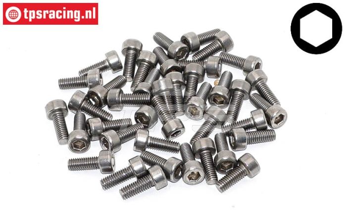 TPSZ340/08 RVS Inbus normale kop M3-L8 mm, 40 St.