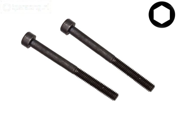 FG6183/03 Inbus normale kop M4-L45 mm, 2 st.