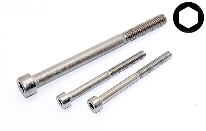 FG6183/02 RVS Inbus normale kop M4-M6 mm, Set